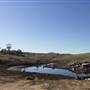Lake Jindabyne
