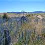 Lake Jindabyne