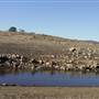 Lake Jindabyne