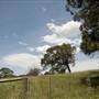 Rural Road - Kangaloon Road