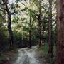 Kempsey State Forests