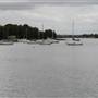 King George Park and Rozelle Foreshore