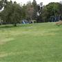King George Park and Rozelle Foreshore
