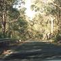 Ku-ring-gai Chase National Park