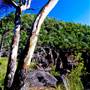 Kwiambal National Park