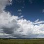 Kyogle