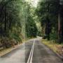 Lady Wakehurst Drive