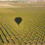 Leeton Shire