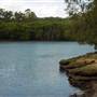 Lane Cove River
