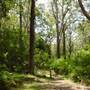 Lane Cove National Park