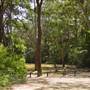 Lane Cove National Park