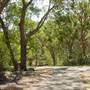 Lane Cove National Park