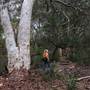 Lane Cove National Park