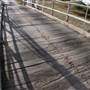 Scone Bridge