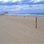 Newcastle Beach