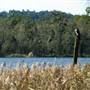 Myall Lakes National Park