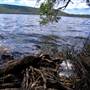Myall Lakes National Park