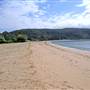 Patonga
