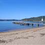 Patonga