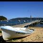 Patonga