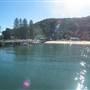 Patonga