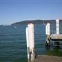 Patonga