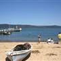 Patonga