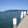 Patonga
