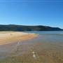 Patonga