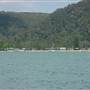 Patonga