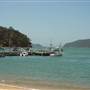 Patonga