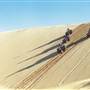 Stockton Dunes - Worimi National Park