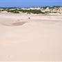 Stockton Dunes - Worimi National Park