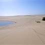 Stockton Dunes - Worimi National Park