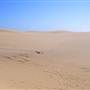 Stockton Dunes - Worimi National Park