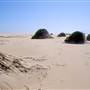 Stockton Dunes - Worimi National Park