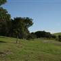 Sydney Park