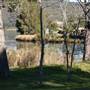 Wisemans Ferry
