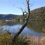 Wisemans Ferry