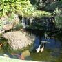 Arthur McElhone Reserve