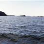 Lion Island
