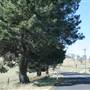 Lithgow Township & Surrounds