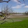 Menindee