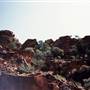 Mutawintji (Mootwingee) National Park