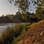 Menindee