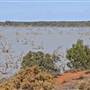 Menindee