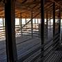 Menindee