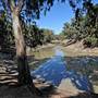 Menindee