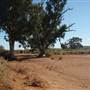 Nine Mile Road, 2012
