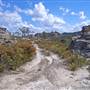 Lithgow Cliffs